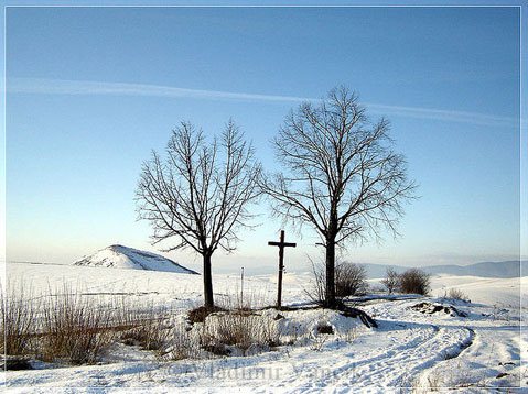 Cross in Winter